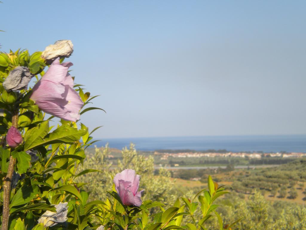 Tenuta Agrituristica Castellesi Squillace Exterior foto
