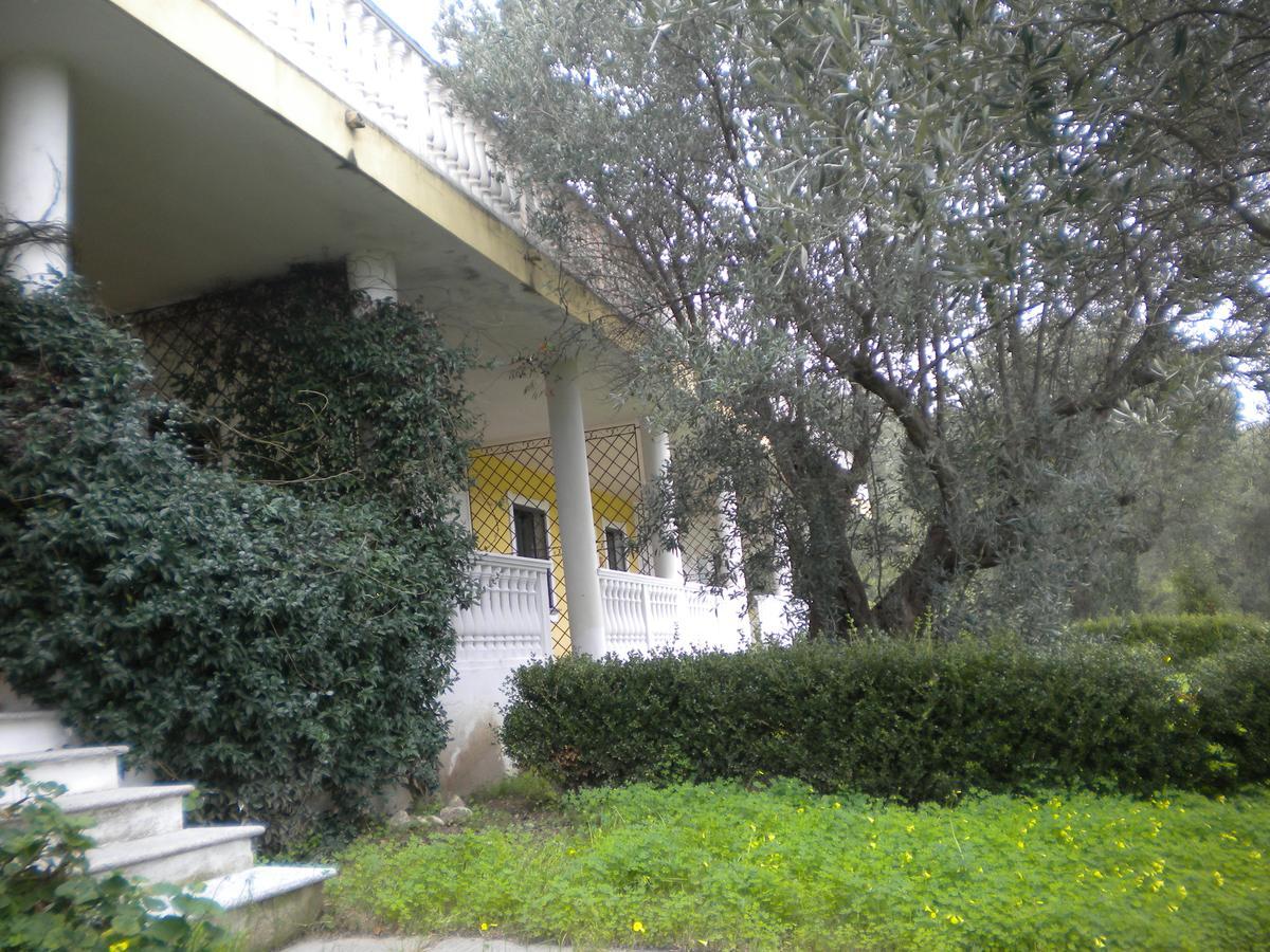 Tenuta Agrituristica Castellesi Squillace Exterior foto